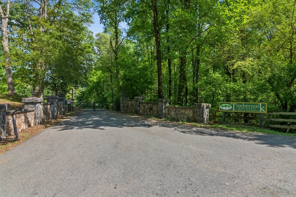 245 Timberwalk Drive Ellijay, GA 30540 - Photo 50 of 56 a view of a park with plants and trees