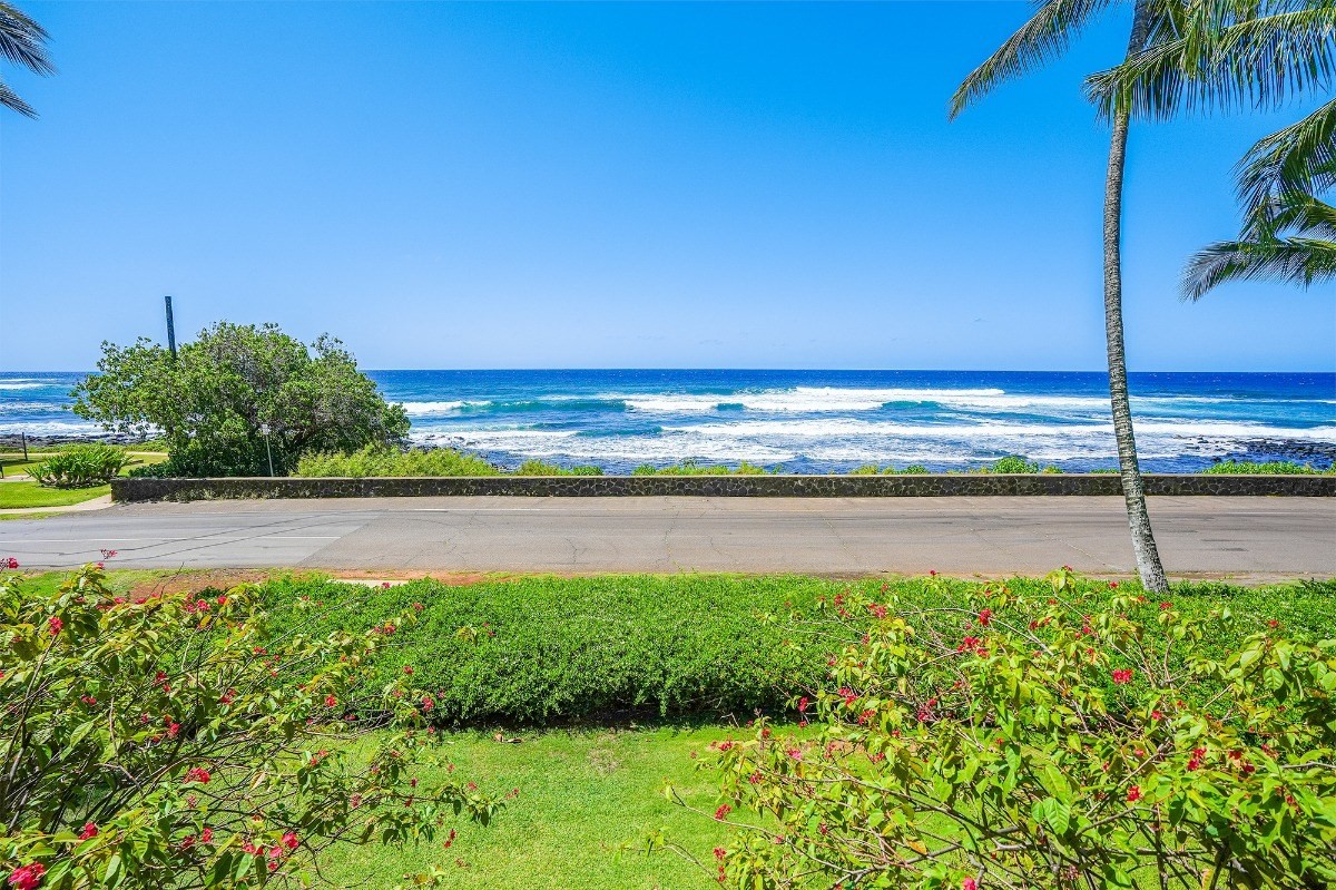 2221 Kapili Road, Unit 58 Koloa, HI 96756 - Photo 2 of 30 a view of a garden with an outdoor space