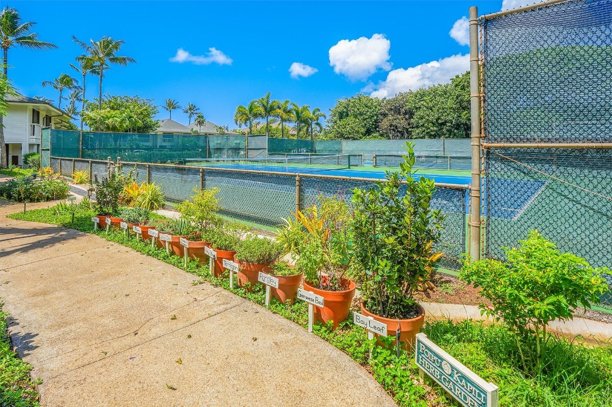 2221 Kapili Road, Unit 58 Koloa, HI 96756 - Photo 27 of 30 a view of a garden