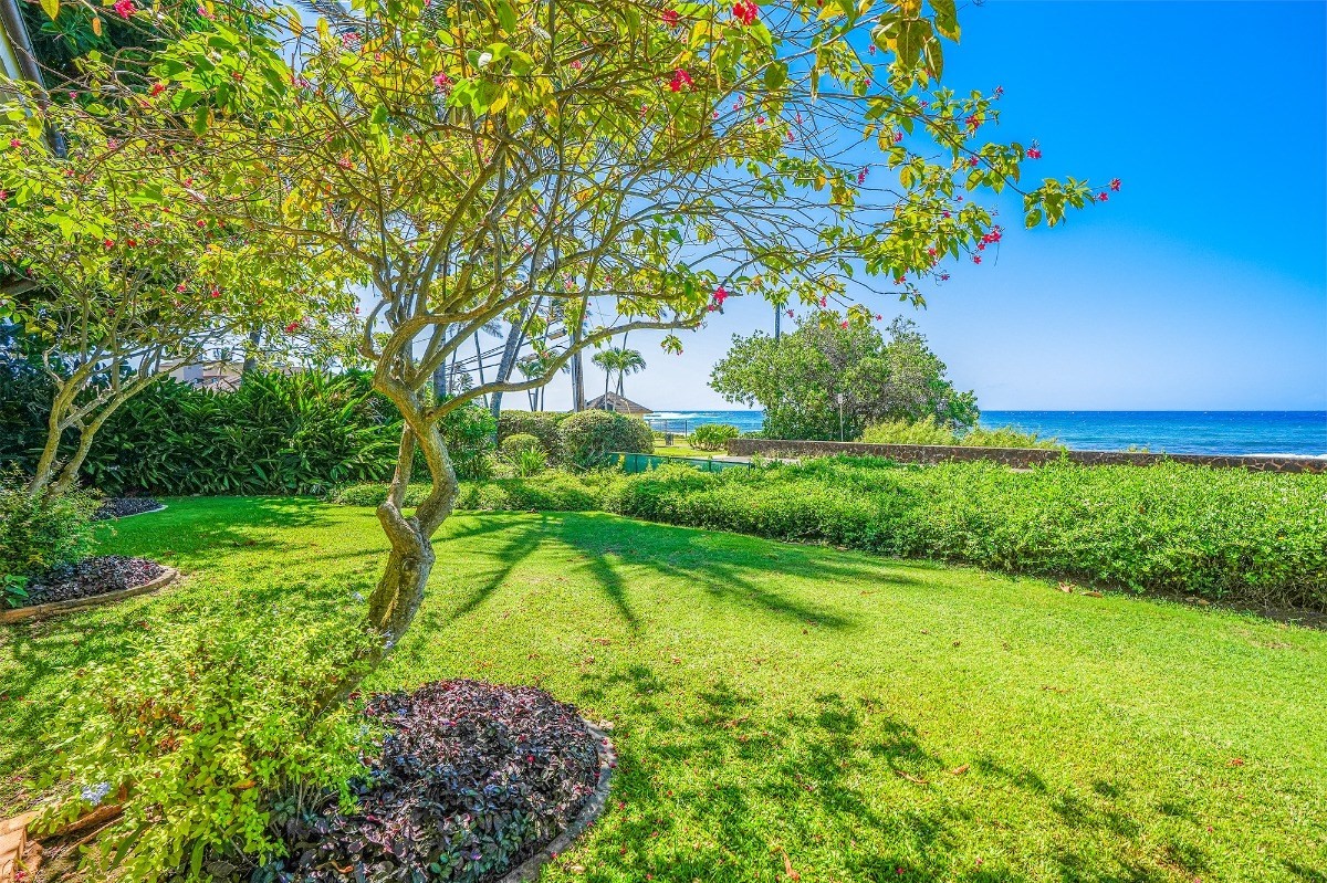 2221 Kapili Road, Unit 58 Koloa, HI 96756 - Photo 5 of 30 a view of a garden with a flower garden
