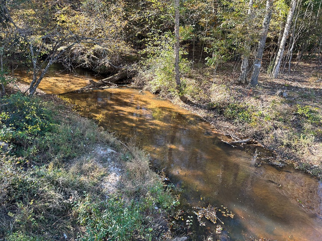 62/ Cty Road Coleman, GA 39836 - Photo 49 of 58