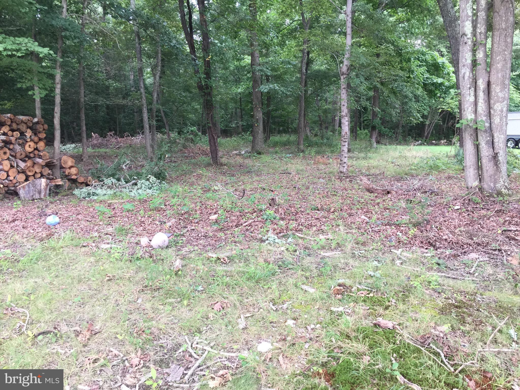 500 Biddle Road Accokeek, MD 20607 - Photo 22 of 26 Exterior (Rear) Back yard