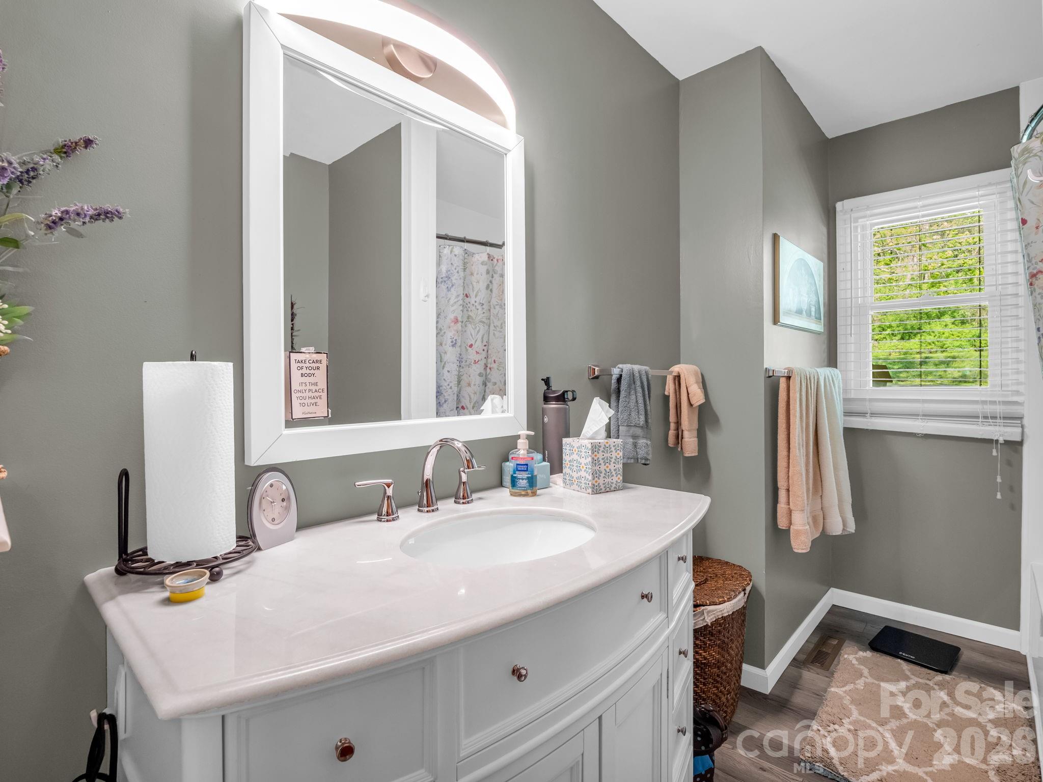 120 Warrior Drive Tryon, NC 28782 - Photo 20 of 44 a bathroom with a sink vanity and a mirror