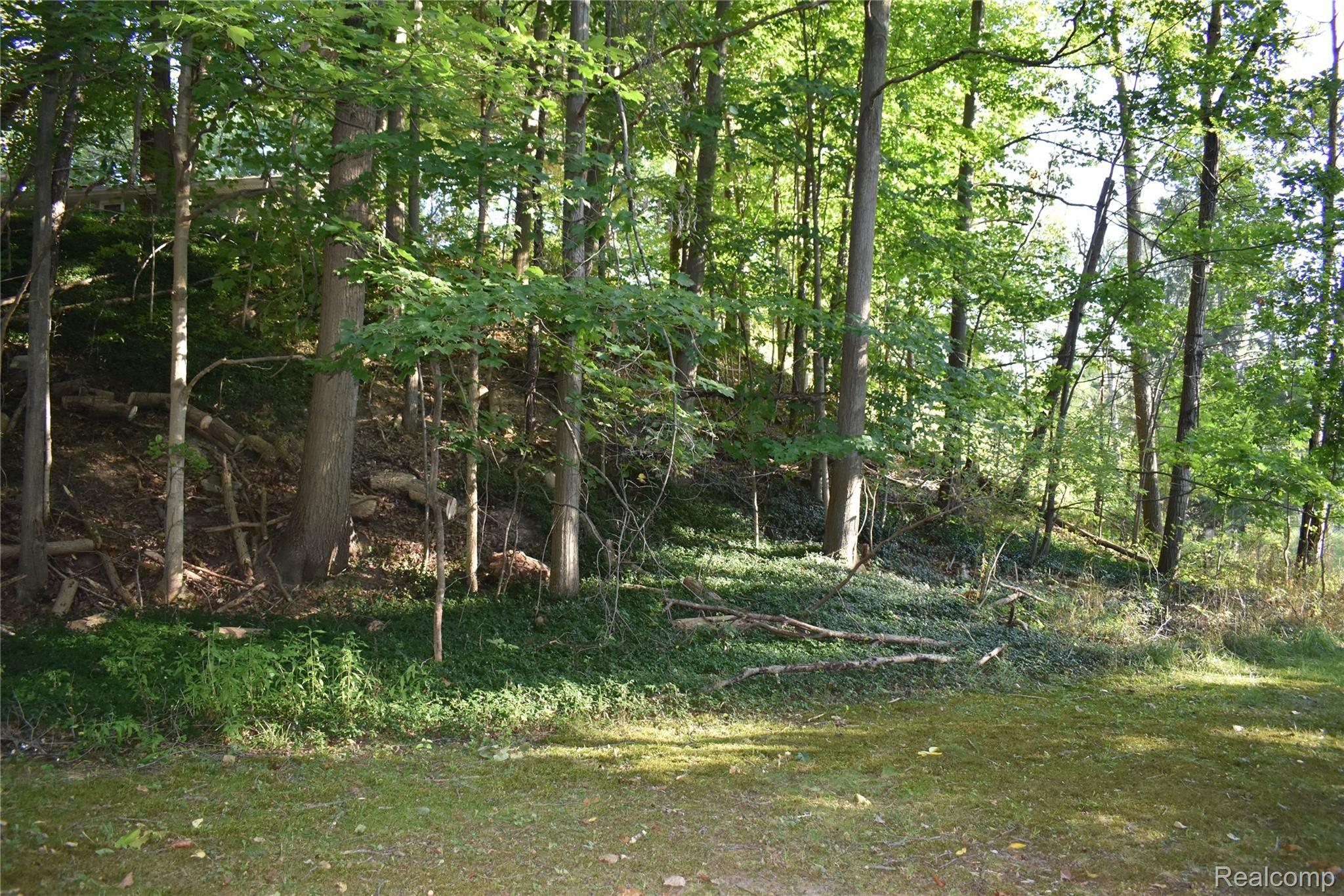 540 Stoddard Road Richmond, MI 48062 - Photo 54 of 54 2021-09-01 05.27