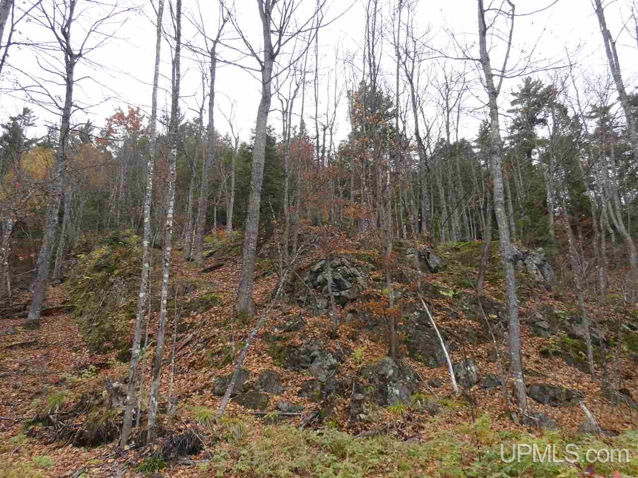 80-acres Co Rd Gga (aka Red Road Champion, MI 49849 - Photo 21 of 26
