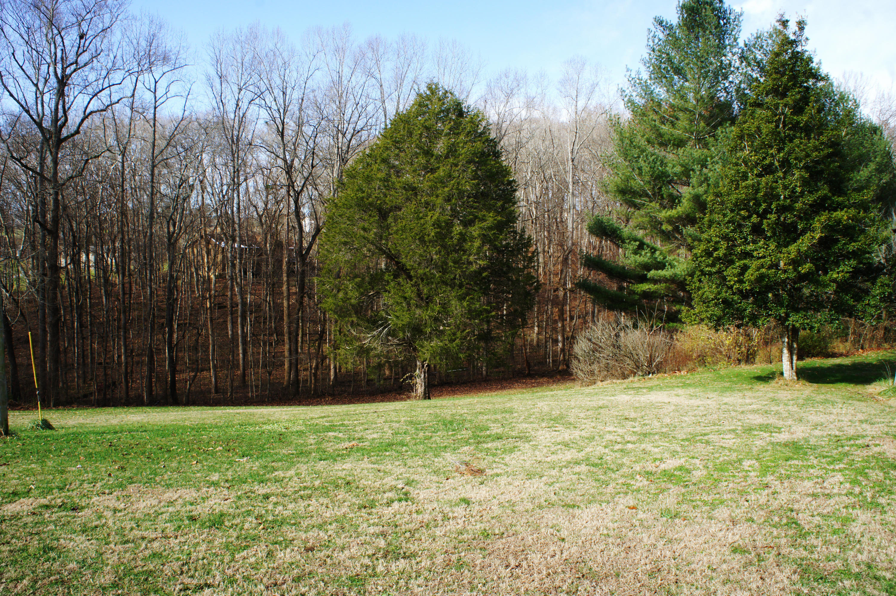 1963 Pumphouse Road Somerset, KY 42503 - Photo 8 of 50 DSC09304