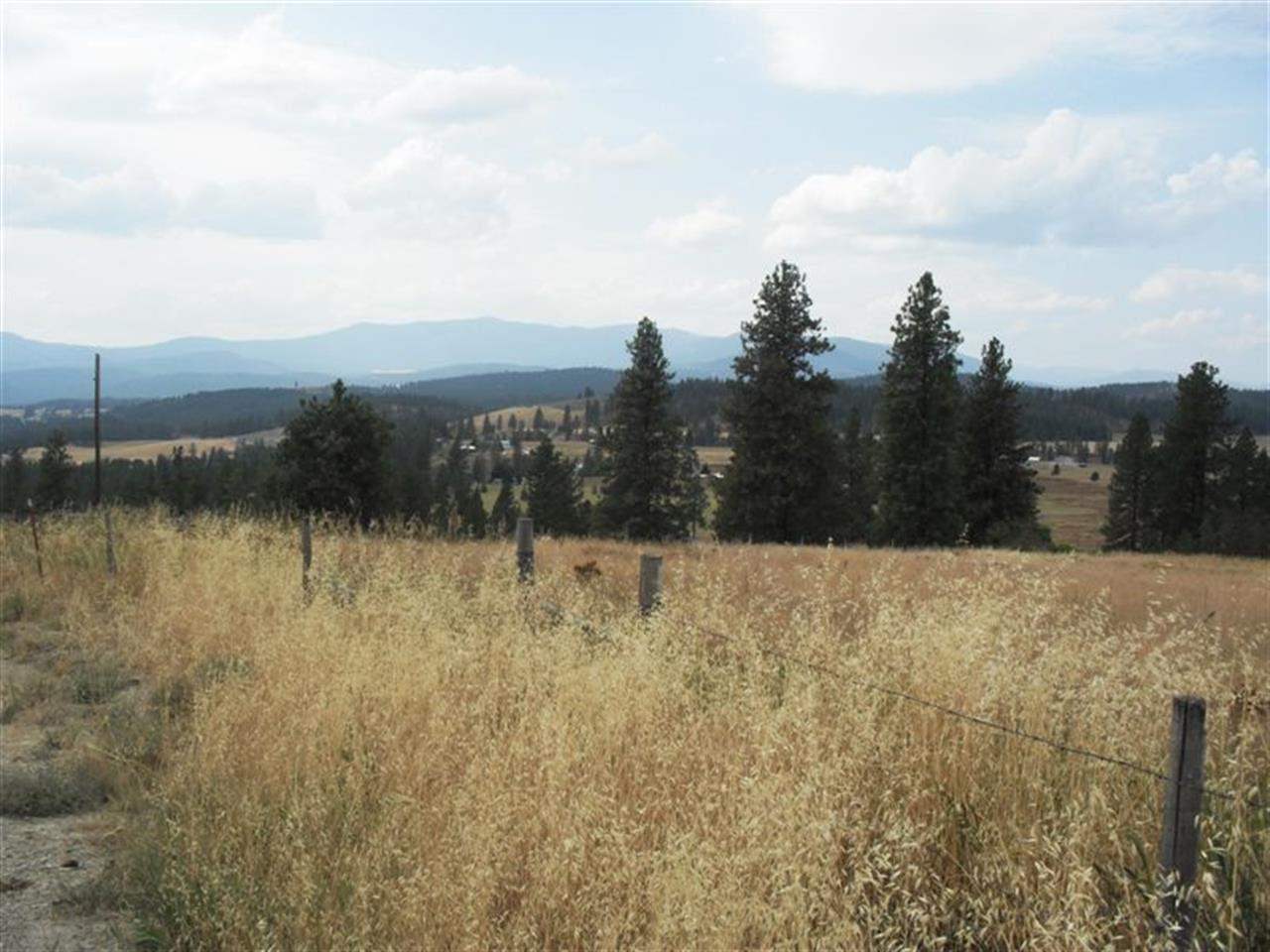 Tbd Lot 4 Tbd Road Colville, WA 99114 - Photo 1 of 4
