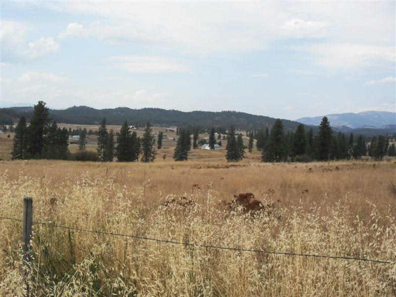 Tbd Lot 4 Tbd Road Colville, WA 99114 - Photo 2 of 4