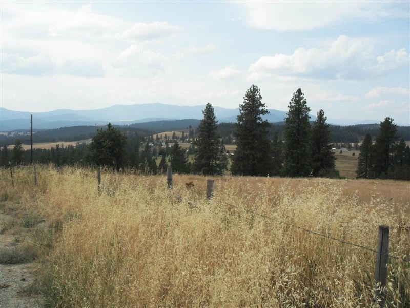 Tbd Lot 4 Tbd Road Colville, WA 99114 - Photo 3 of 4