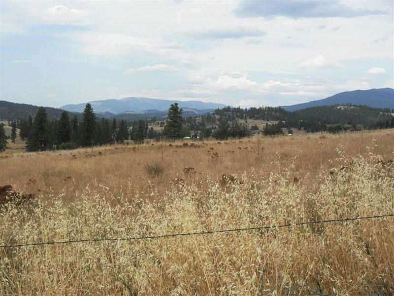 Tbd Lot 4 Tbd Road Colville, WA 99114 - Photo 4 of 4