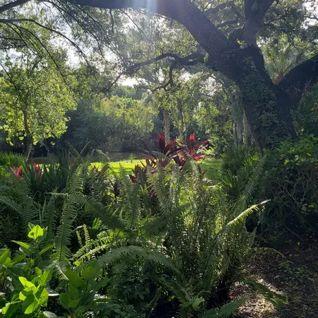 a backyard of a house with lots of green space