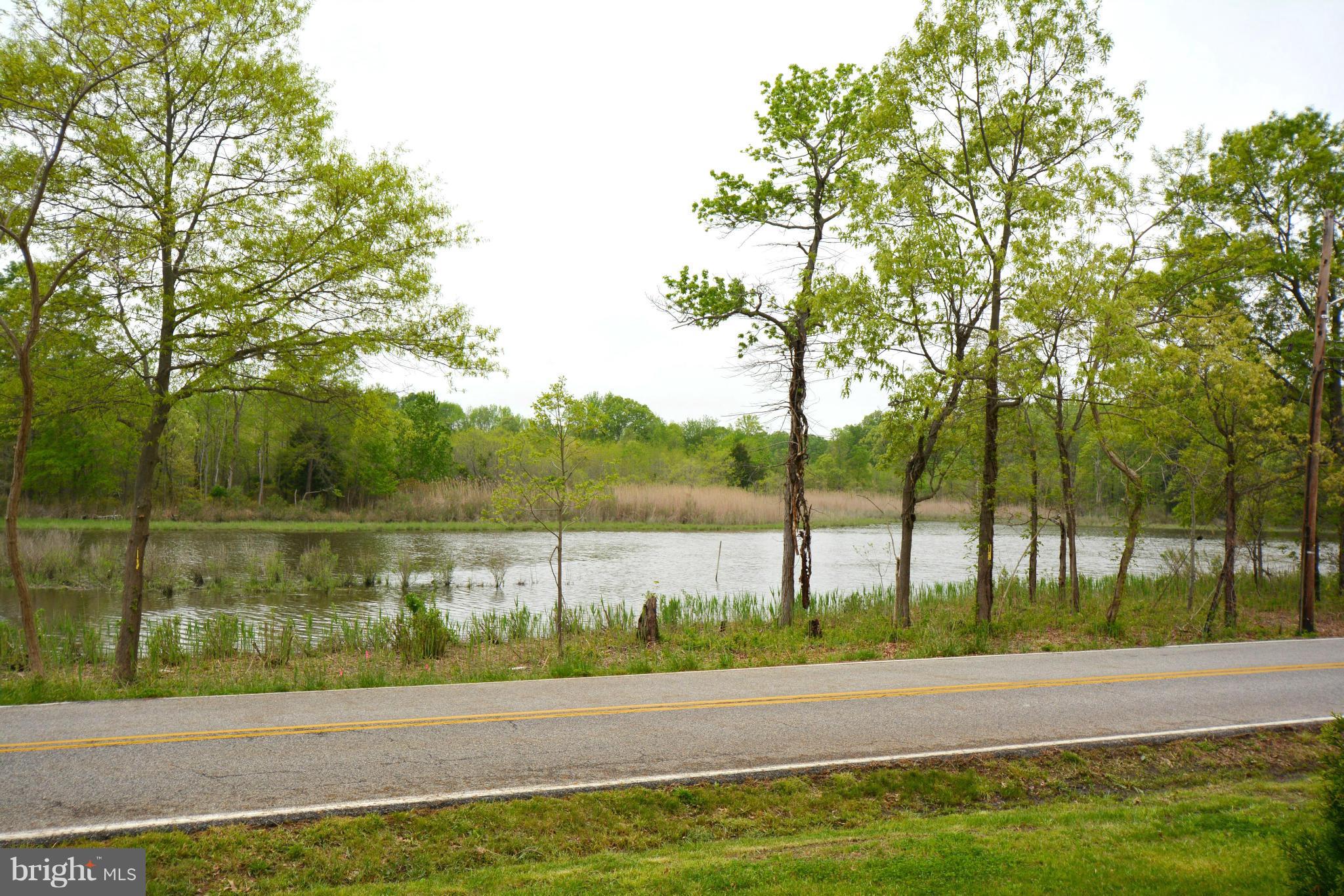 1507 Terrell Road Shady Side, MD 20764 - Photo 5 of 29 View of Flag Pond from front yard