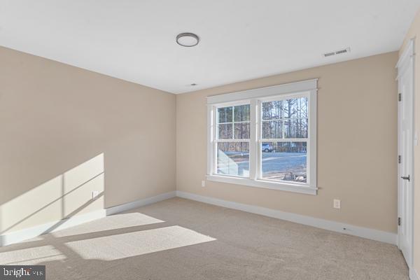 725 Centerville Road Mineral, VA 23117 - Photo 30 of 32 Gallery Image 30