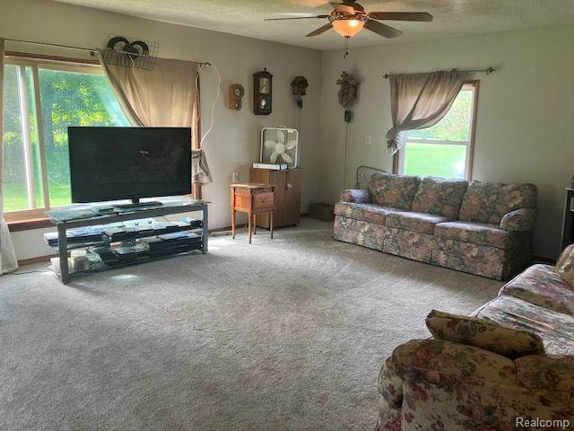 8084 Jordan Road Yale, MI 48097 - Photo 9 of 22