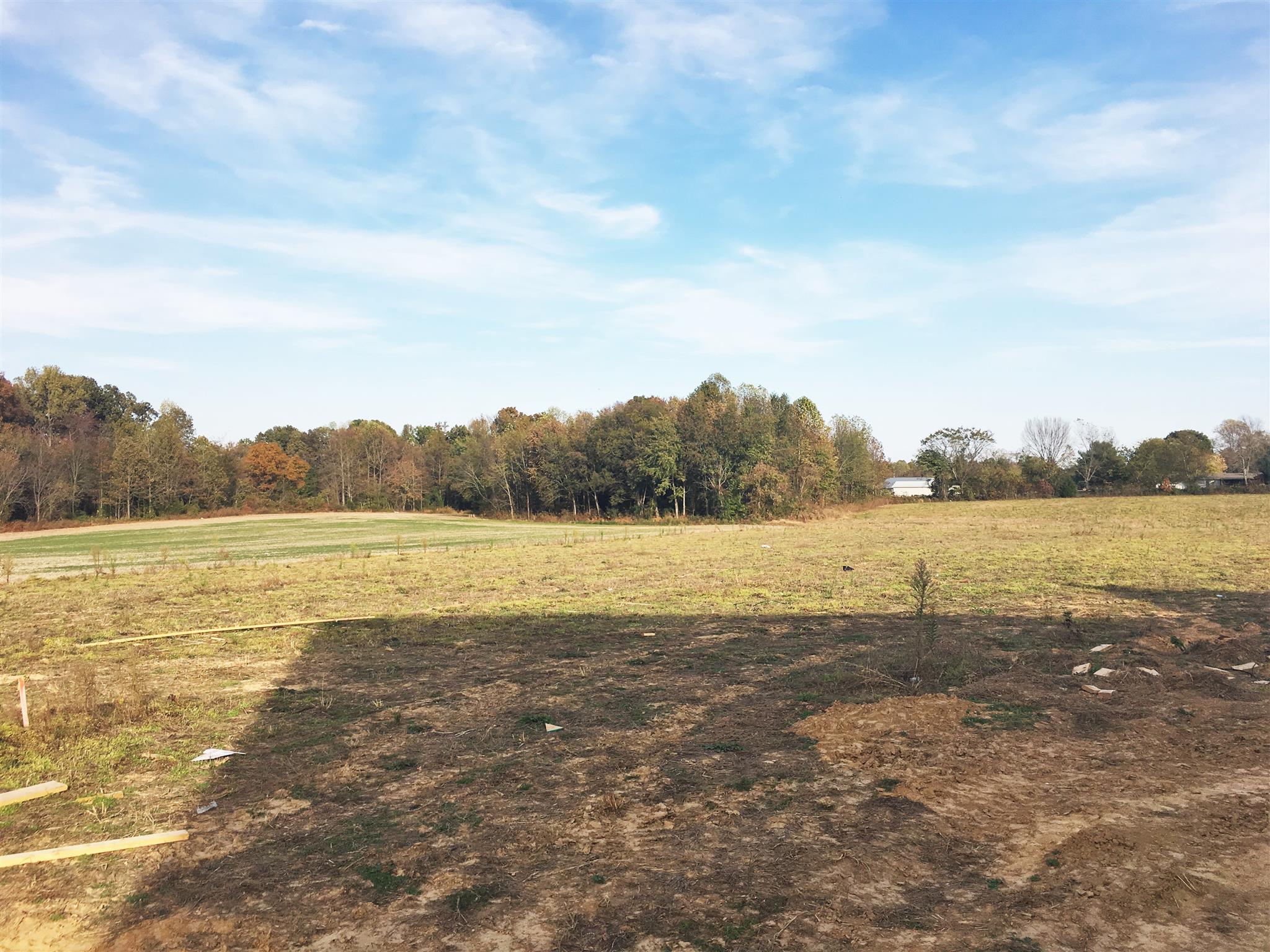 3160 Friendship Road Cross Plains, TN 37049 - Photo 4 of 5