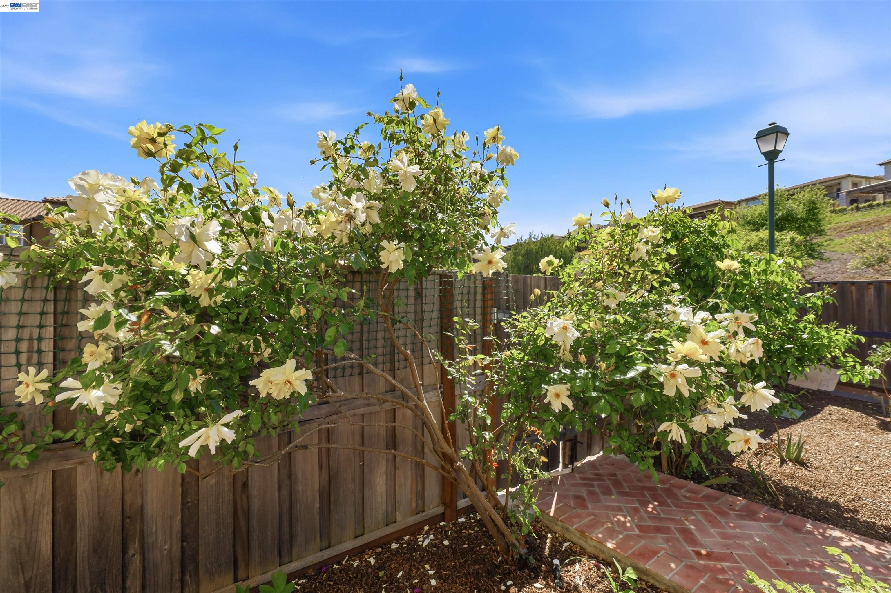 103 Camelia Court San Ramon, CA 94582 - Photo 57 of 64