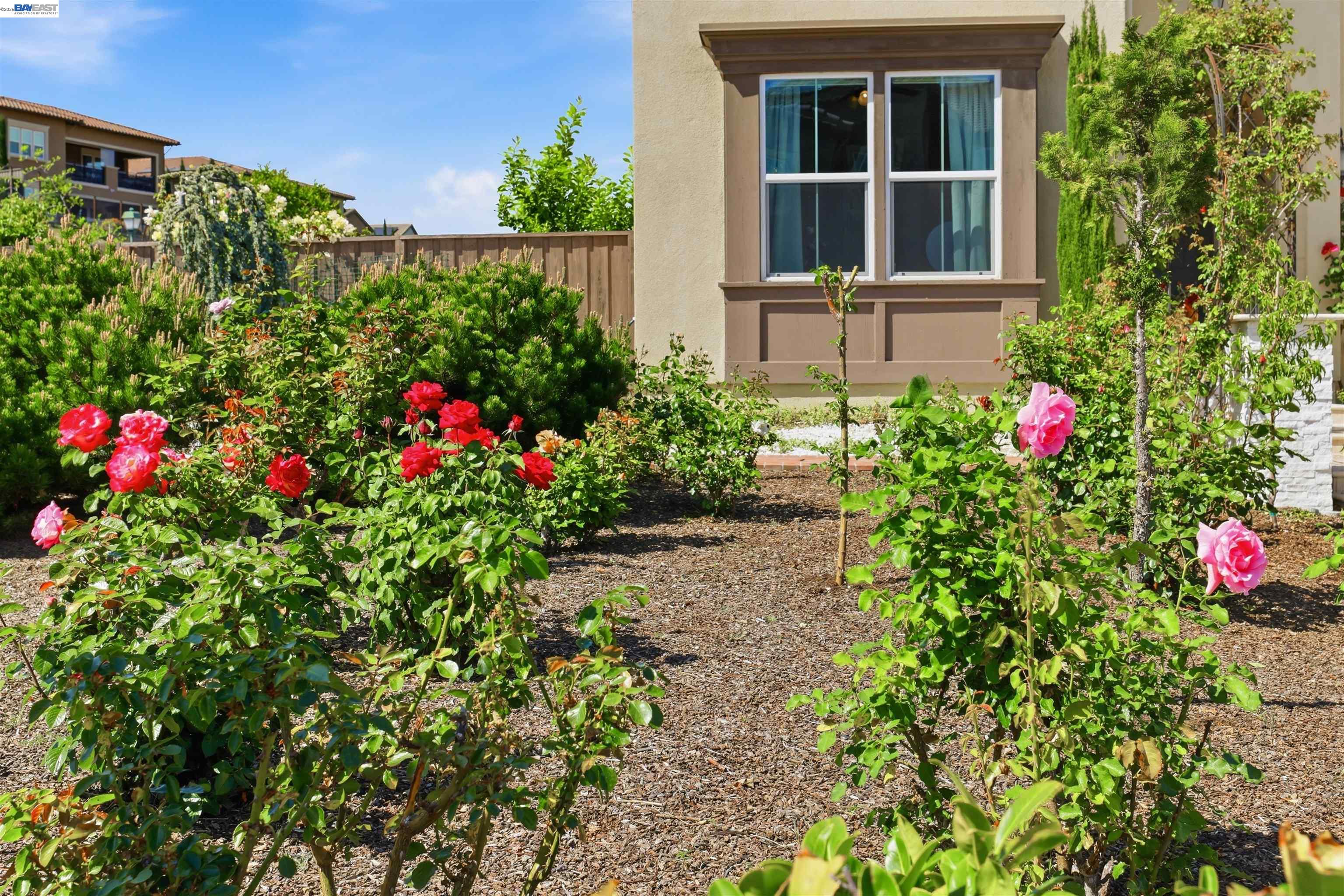 103 Camelia Court San Ramon, CA 94582 - Photo 6 of 64