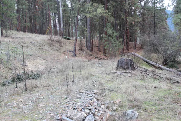 $85,000 | 1477 L College Lane, Kettle Falls, WA 99141