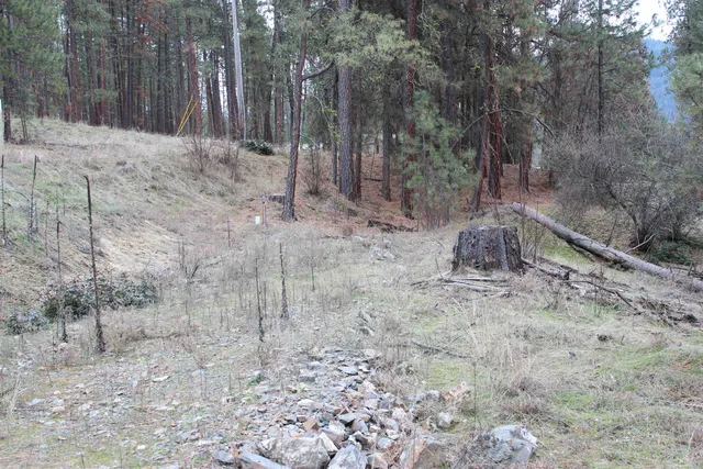 $85,000 | 1477 L College Lane, Kettle Falls, WA 99141