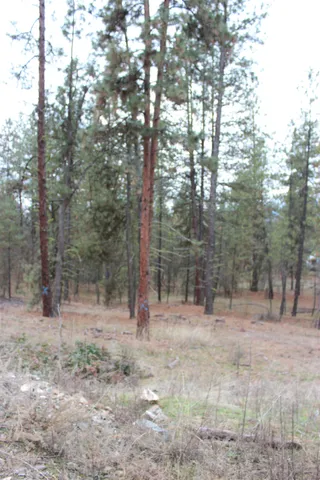 $85,000 | 1477 L College Lane, Kettle Falls, WA 99141