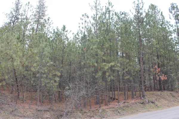 $85,000 | 1477 L College Lane, Kettle Falls, WA 99141
