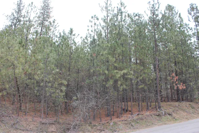 $85,000 | 1477 L College Lane, Kettle Falls, WA 99141