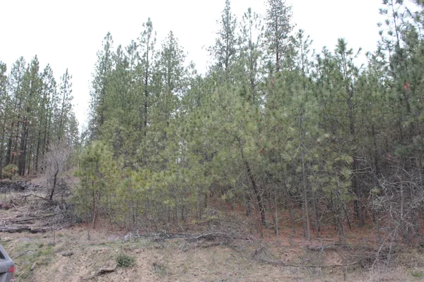 $85,000 | 1477 L College Lane, Kettle Falls, WA 99141