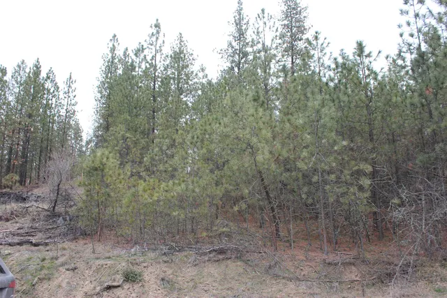 $85,000 | 1477 L College Lane, Kettle Falls, WA 99141