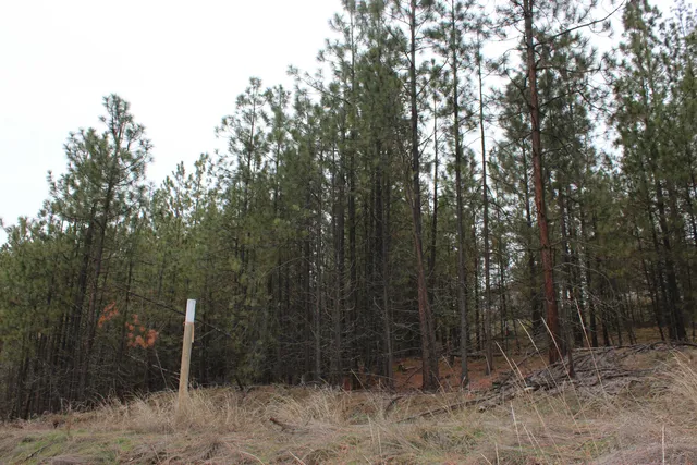 $85,000 | 1477 L College Lane, Kettle Falls, WA 99141