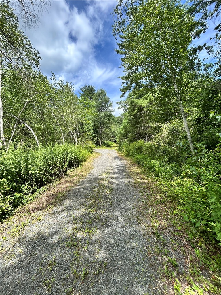 270 Collins-Gifford Valley Road Northampton, NY 12134 - Photo 8 of 26