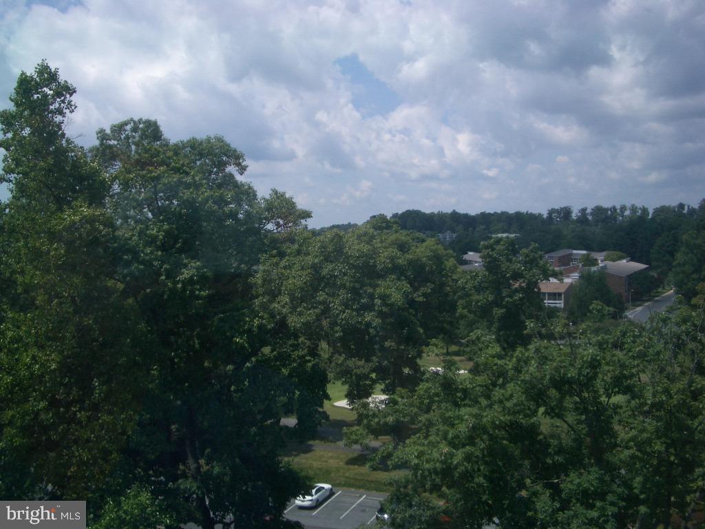 15107 Interlachen Drive, Unit 2811 Silver Spring, MD 20906 - Photo 19 of 31 Golf view from the sunroom