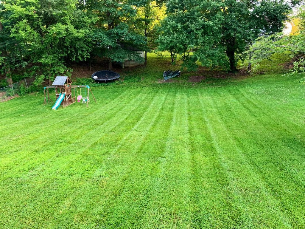 1138 Old Shiloh Road Greeneville, TN 37745 - Photo 2 of 21 Photo 2