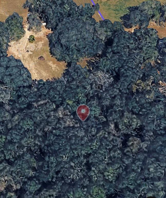 18016 Southwest 191st Avenue Archer, FL 32618 - Photo 2 of 3 a view of a dry yard