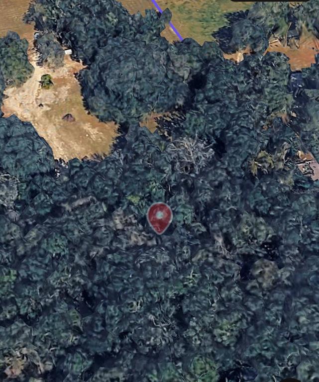 18016 Southwest 191st Avenue Archer, FL 32618 - Photo 3 of 3 a view of a tree