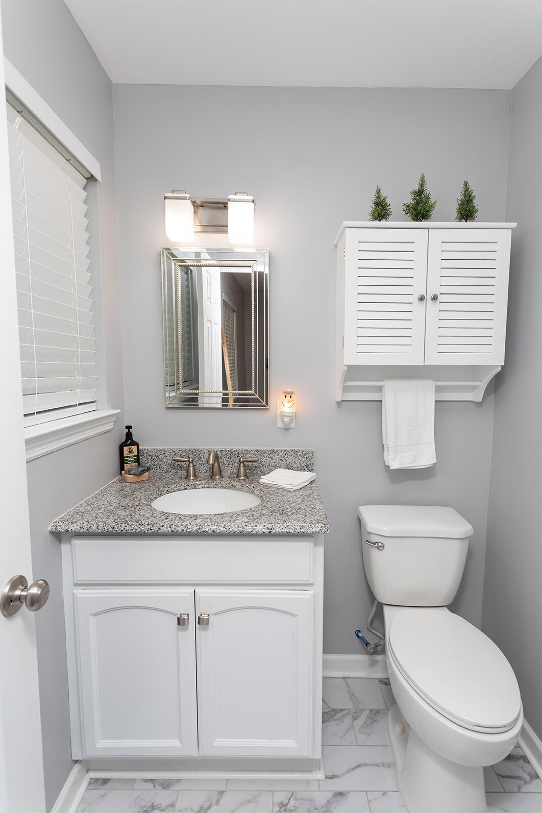 8903 Bay View Drive Chattanooga, TN 37416 - Photo 12 of 25 a bathroom with a toilet a sink and a mirror