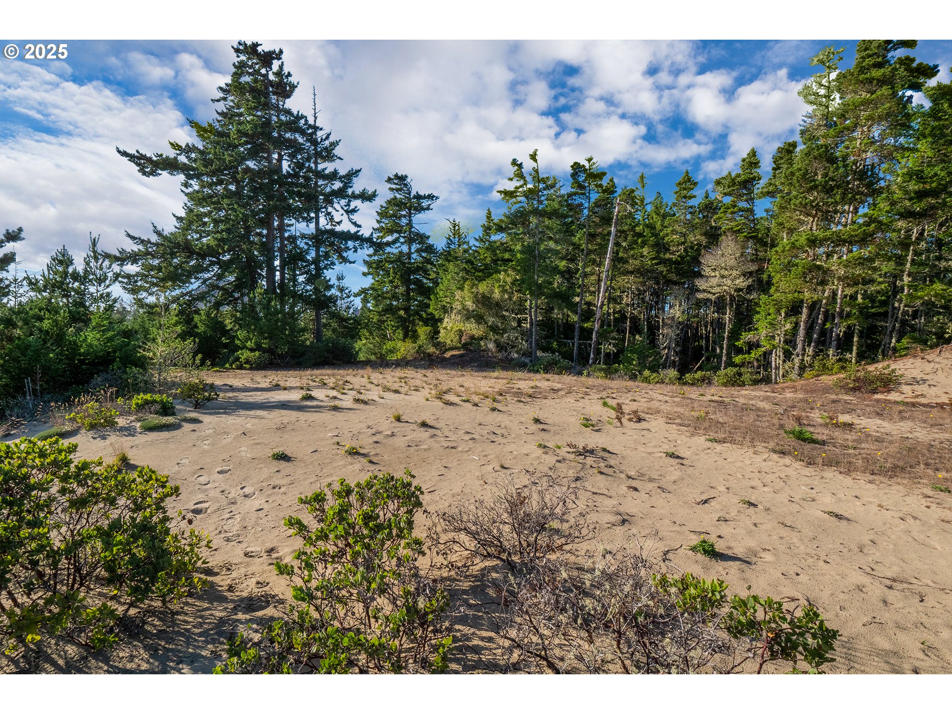 67 Lake Point Drive, Unit 67 Florence, OR 97439 - Photo 11 of 18