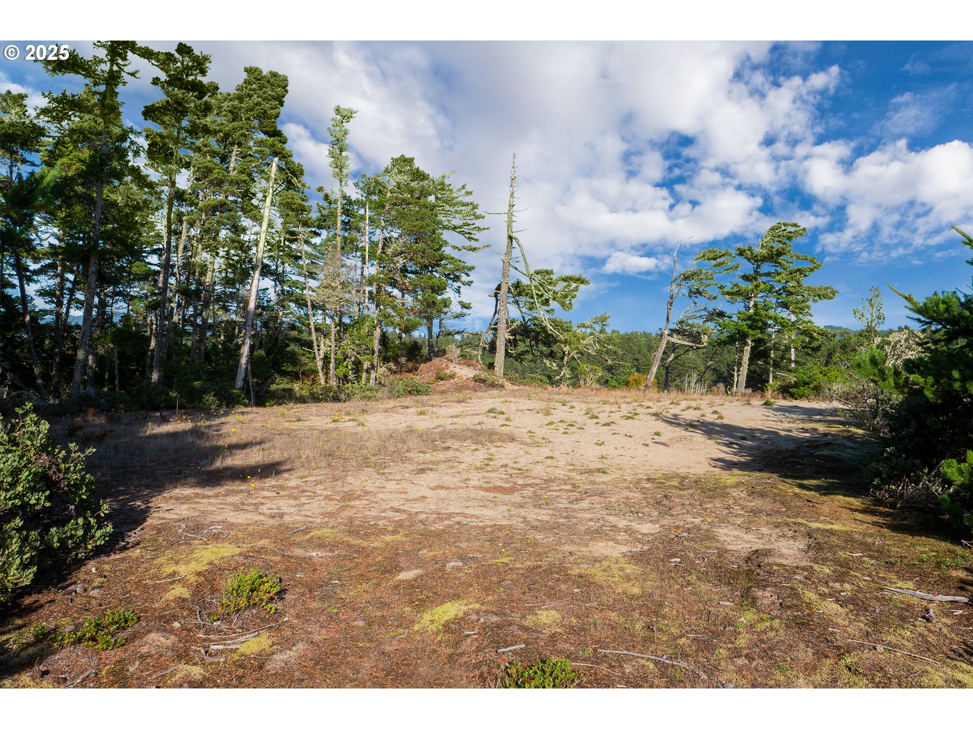 67 Lake Point Drive, Unit 67 Florence, OR 97439 - Photo 14 of 18