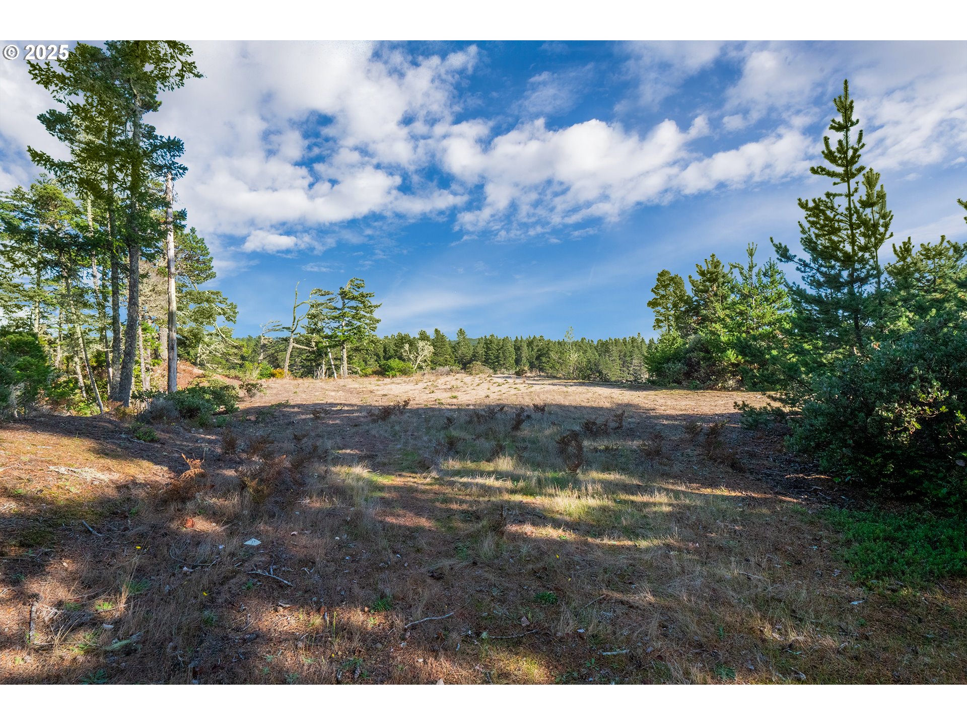 67 Lake Point Drive, Unit 67 Florence, OR 97439 - Photo 15 of 18