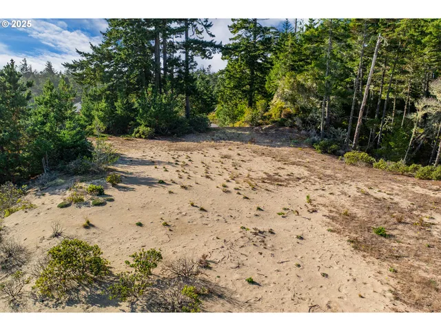 a view of a yard with plants and trees