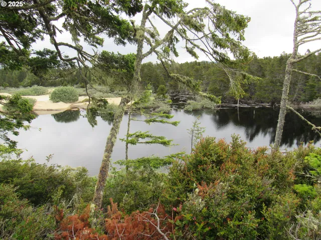 a view of lake with green space