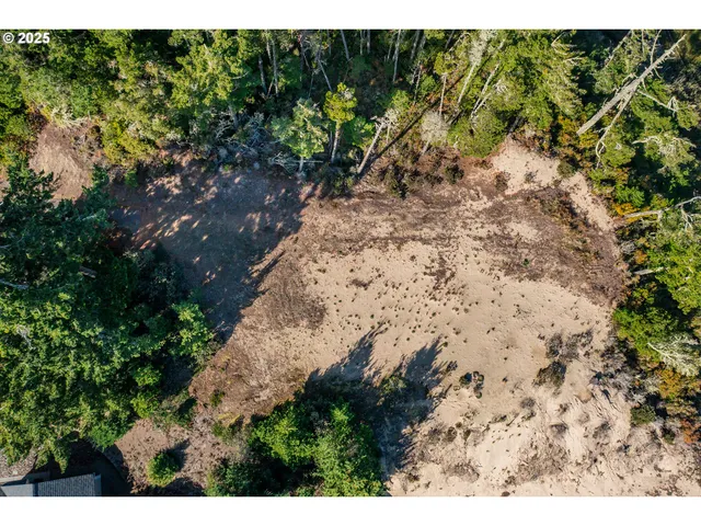 a view of a yard with plants and large trees