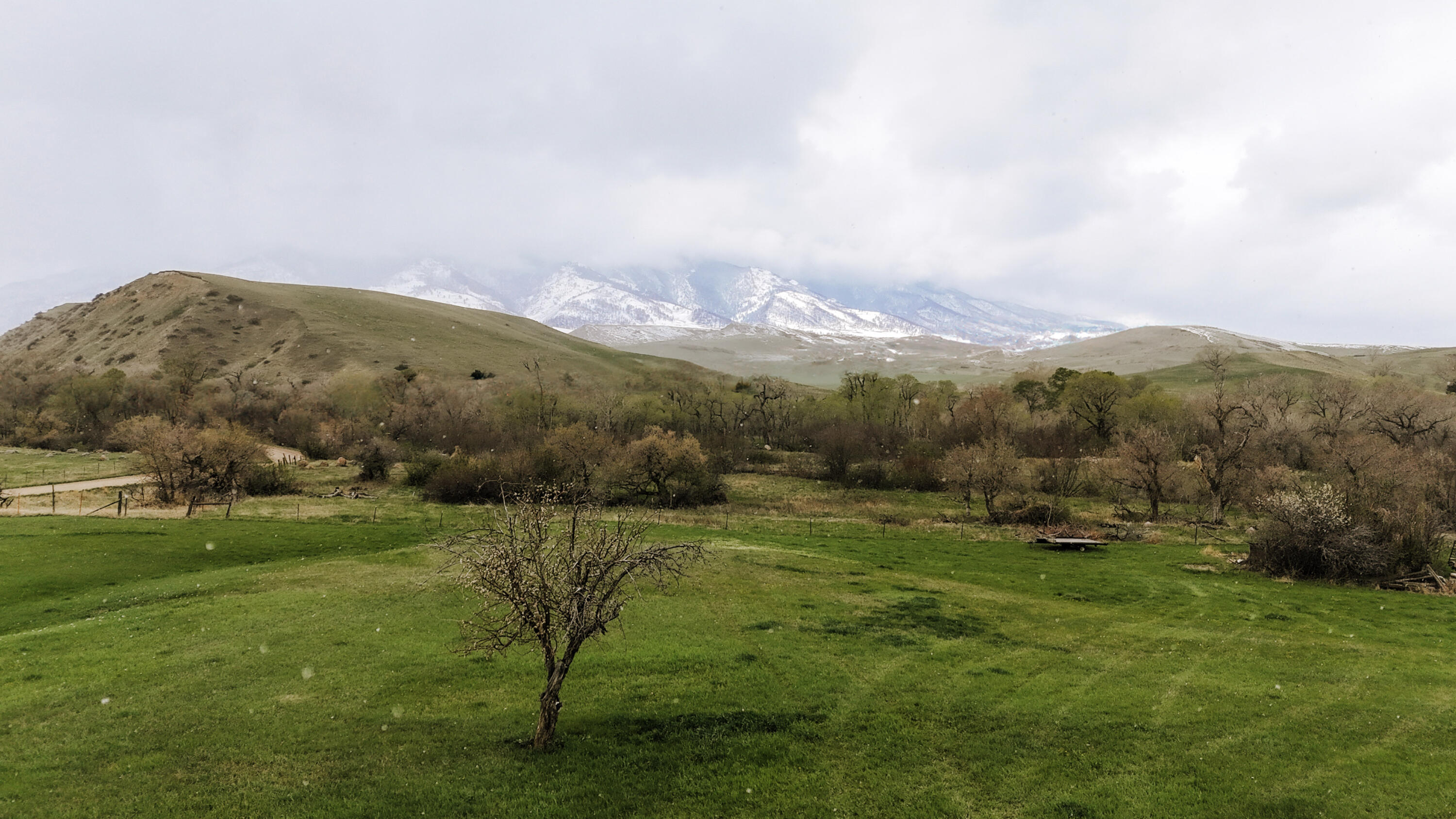 1205 Big Goose Road Sheridan, WY 82801 - Photo 35 of 48 30_Mt.View