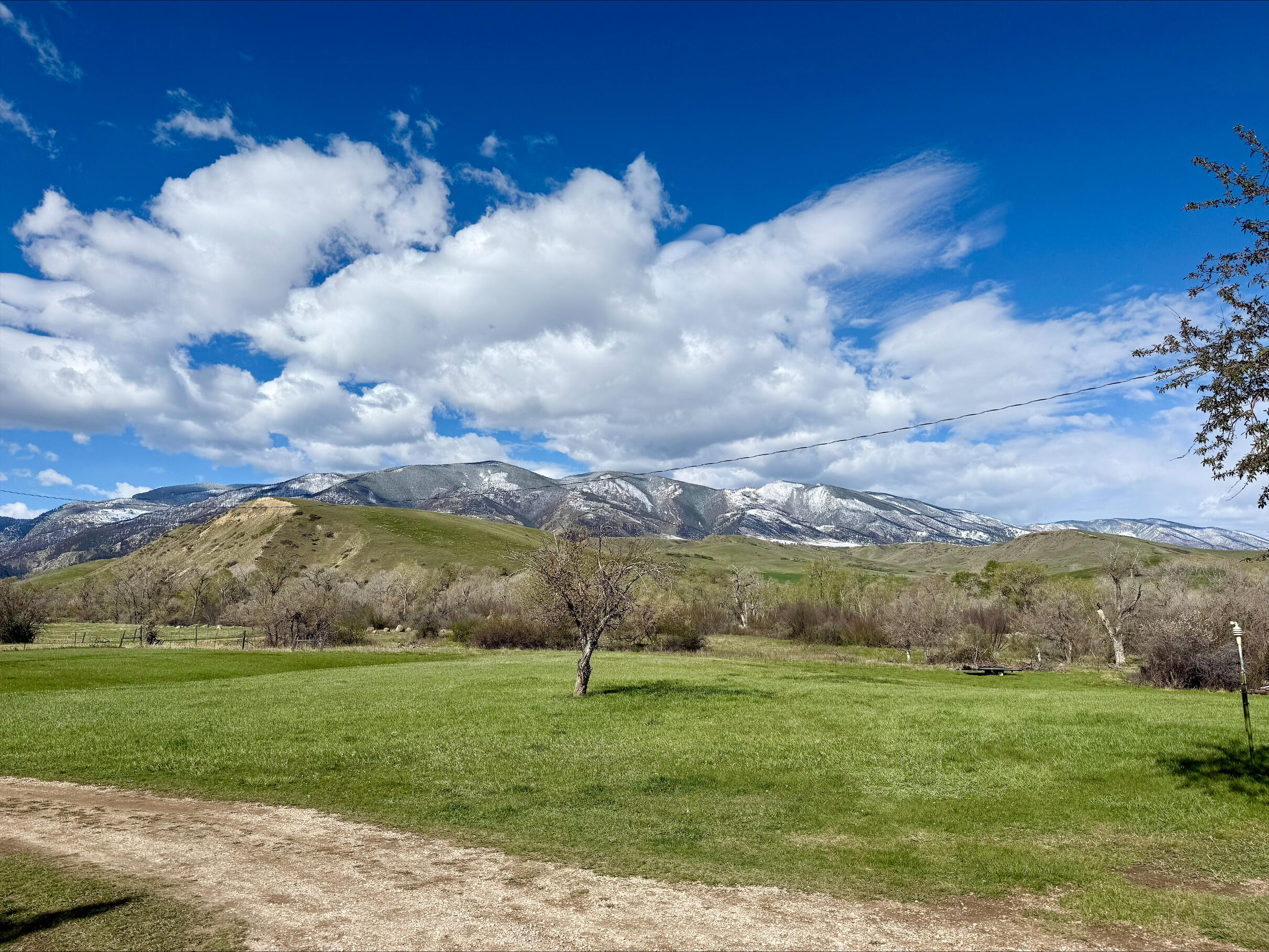 1205 Big Goose Road Sheridan, WY 82801 - Photo 6 of 48 1.4