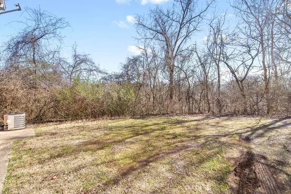 a view of empty space and tree