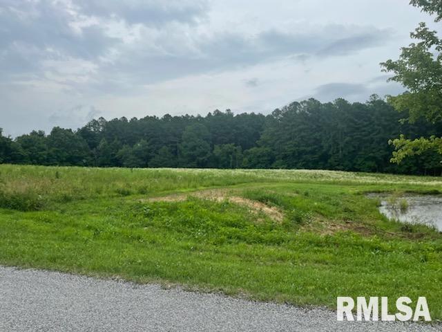 758 Bassett Road Elizabethtown, IL 62931 - Photo 3 of 6