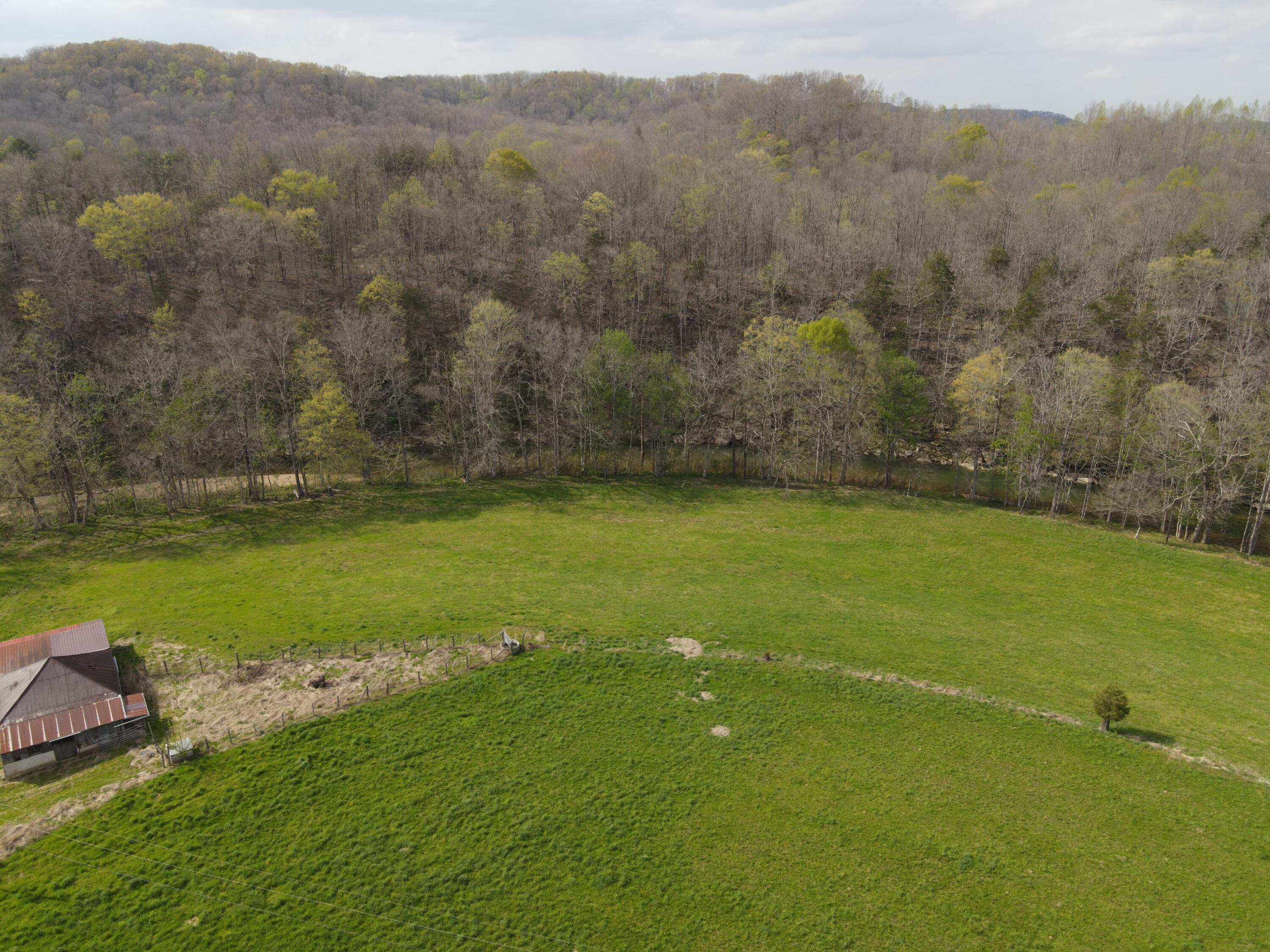 667 Troutstream Road Dunnville, KY 42528 - Photo 5 of 83 Goose Creek Property vol. 1 (3)