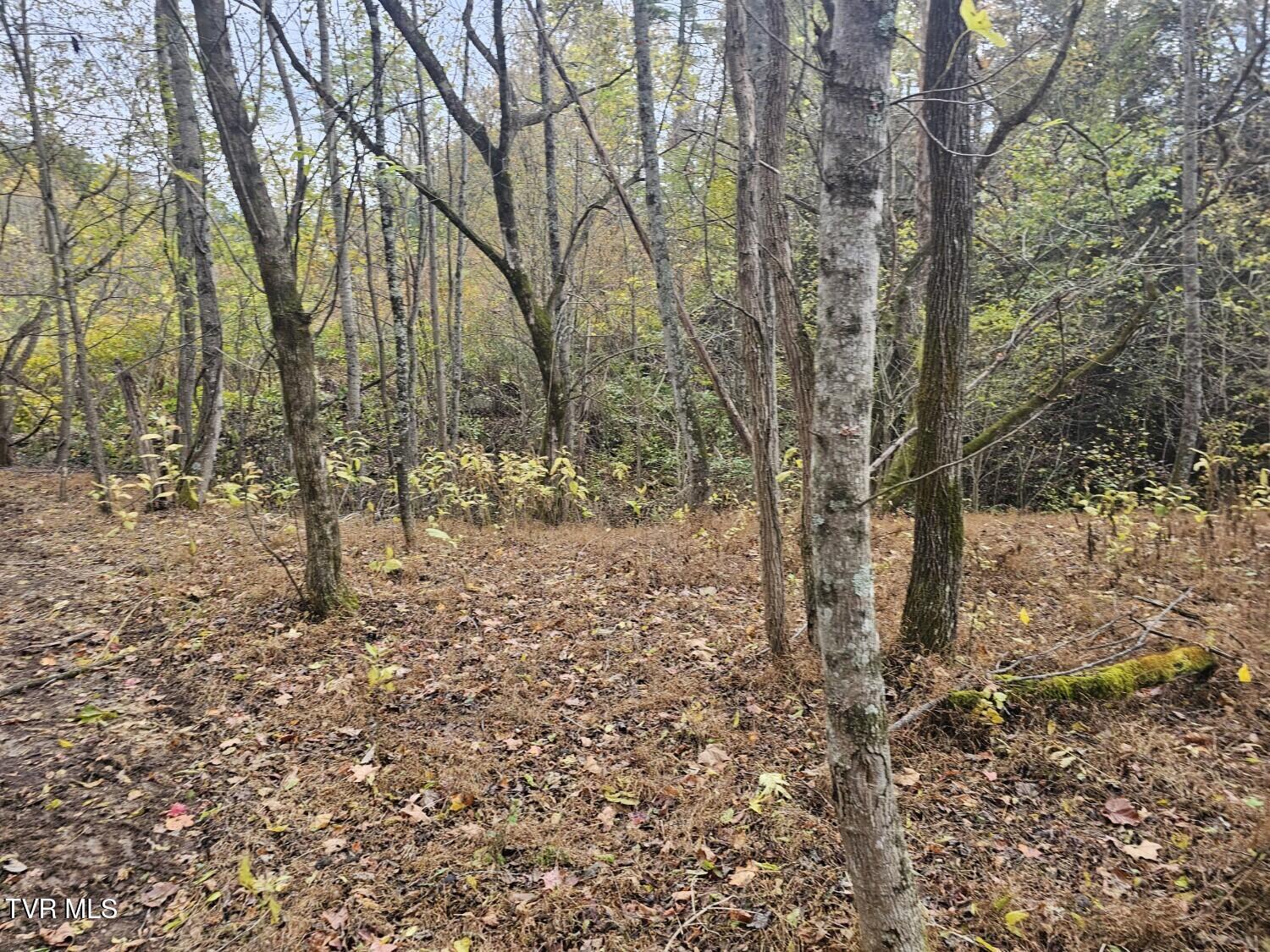 Tbd Blaine White Road Erwin, TN 37650 - Photo 14 of 17 Attach0
