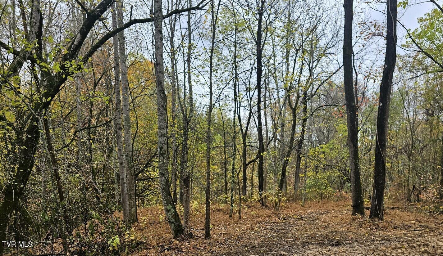 Tbd Blaine White Road Erwin, TN 37650 - Photo 15 of 17 Attach0