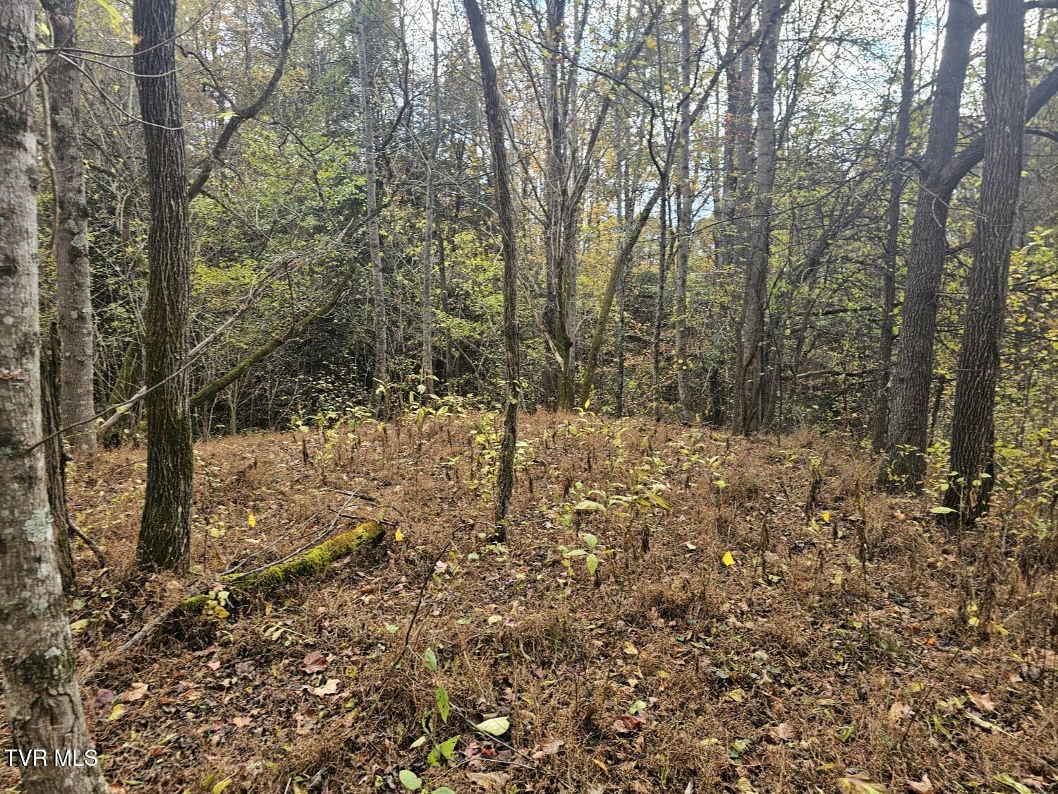 Tbd Blaine White Road Erwin, TN 37650 - Photo 16 of 17 Attach0