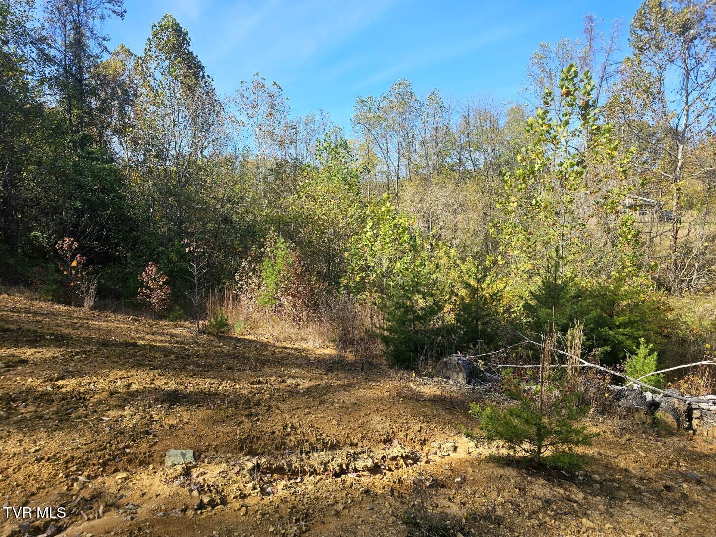 Tbd Blaine White Road Erwin, TN 37650 - Photo 2 of 17 Attach0 (9)